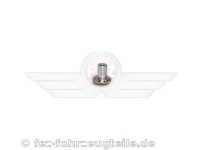 Knopf für Seitenklappe Berliner Roller - IWL*