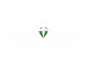 Ansteckpin MZ Logo gr&uuml;n/wei&szlig;