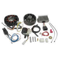 Lichtmaschine mit Zündanlage im Set (12V 150W) MZ...