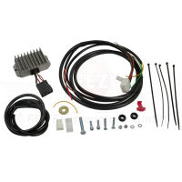 Lichtmaschine mit Z&uuml;ndanlage im Set (12V 150W) passend f&uuml;r BK350 (VAPE)